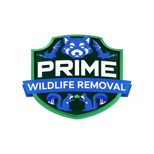 Wildlife Removal Belding